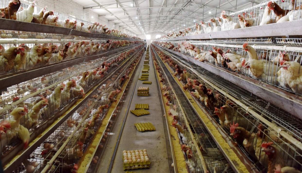 Humidifier for Industrial Use