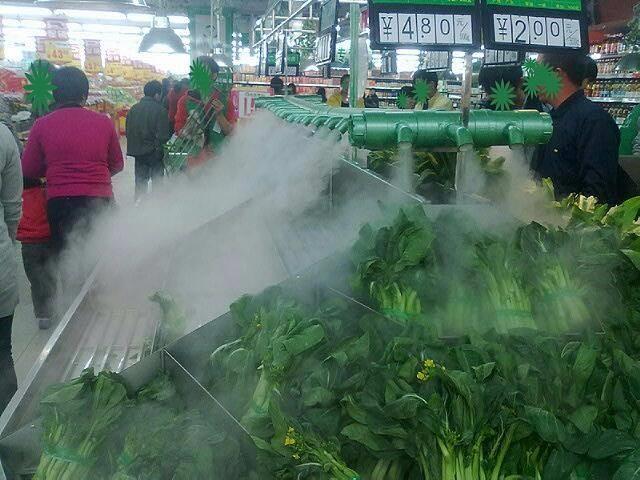Vegetable Humidifier